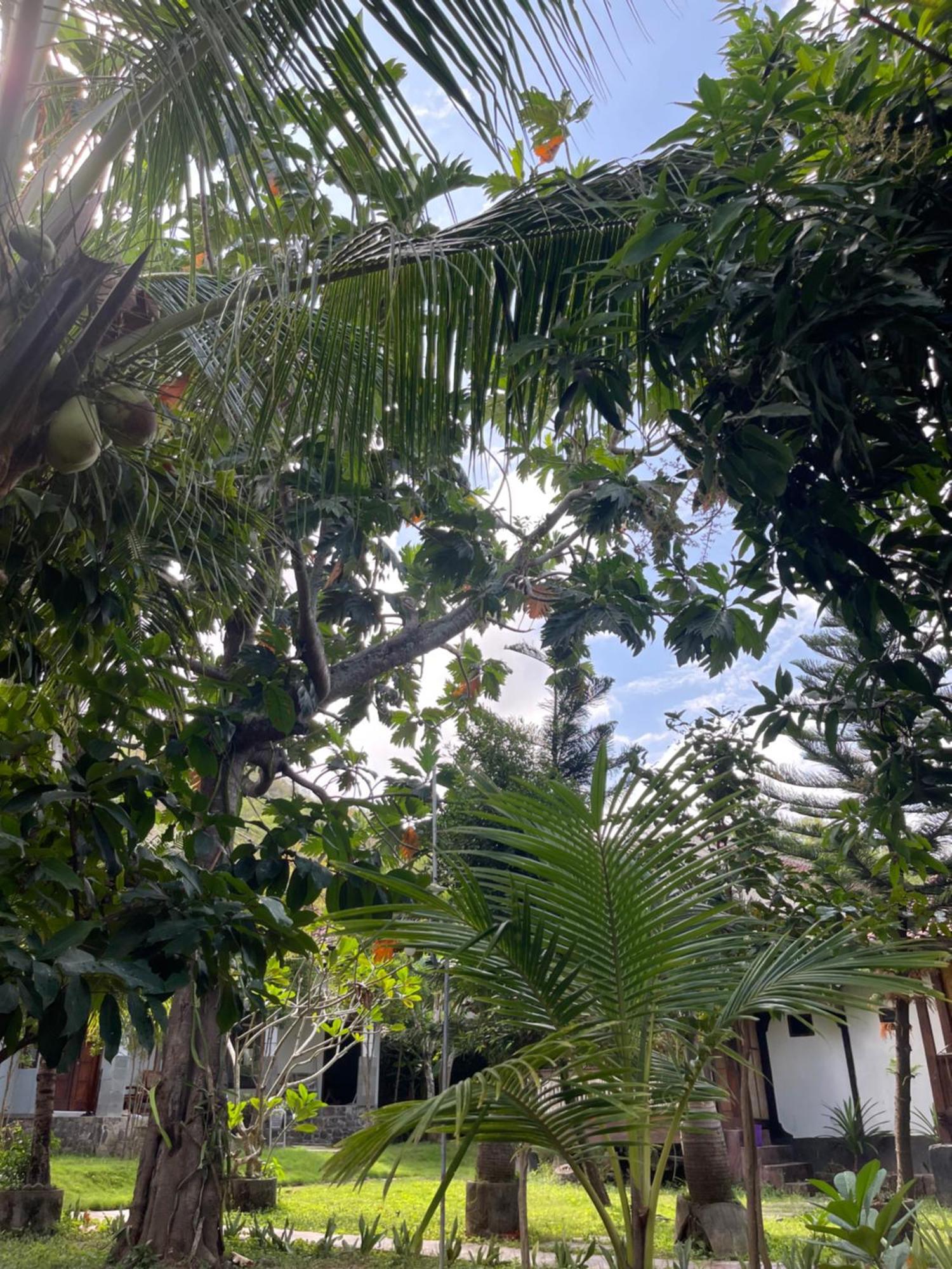 Tri Putri Homestay Kuta  Dış mekan fotoğraf