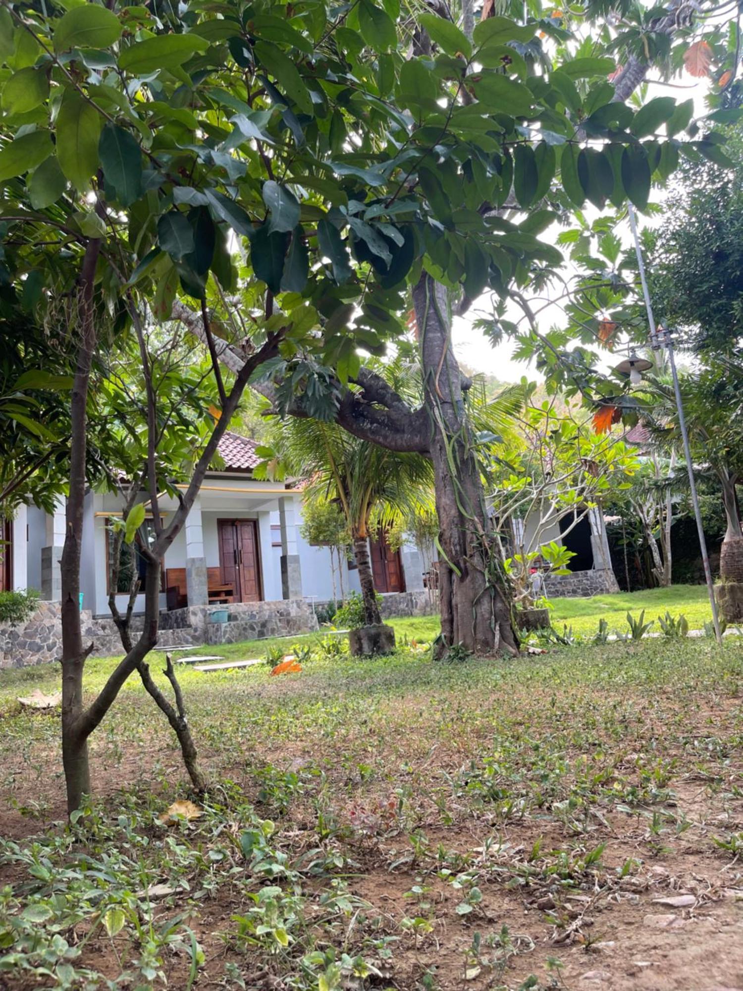 Tri Putri Homestay Kuta  Dış mekan fotoğraf